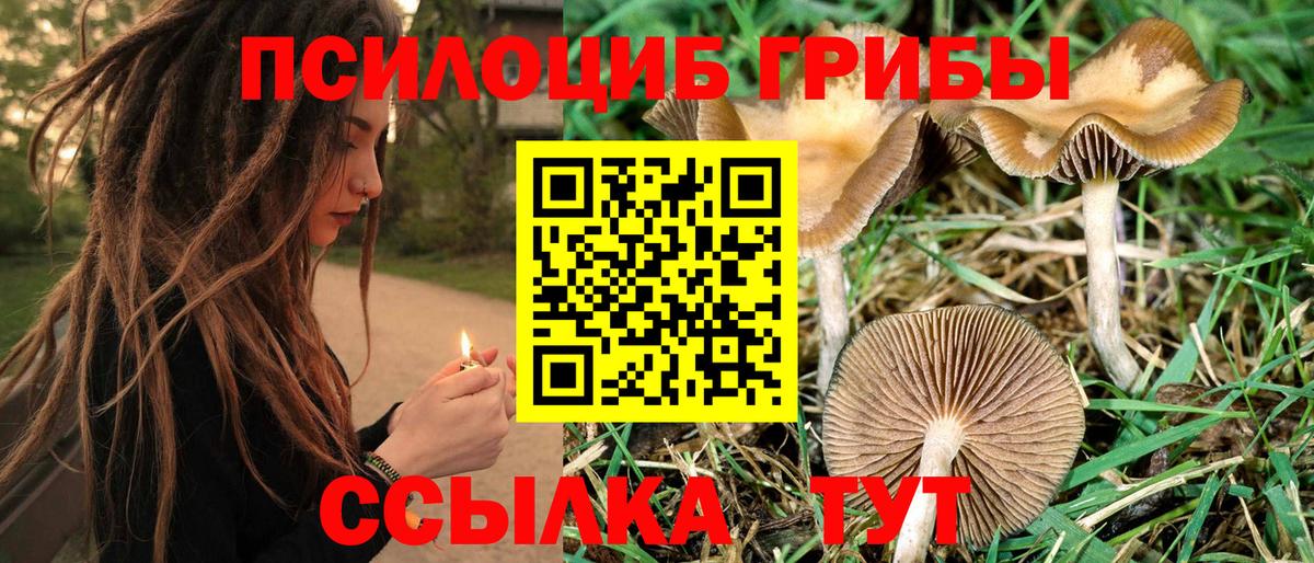 Псилоцибиновые грибы Magic Shrooms  Вход с VPN  Вышний Волочёк 